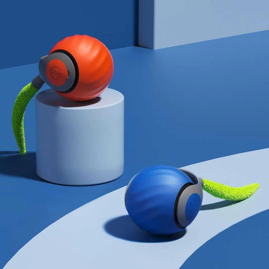 Interactive Cat Toys with Tail Design, 2 Pack Set for Indoor Cats