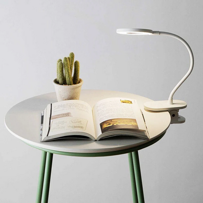 Rechargeable Clip on Desk Lamp with Touch Control and 3 Brightness Levels for Reading