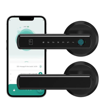 Smart Handle Door Lock with Keyless Access
