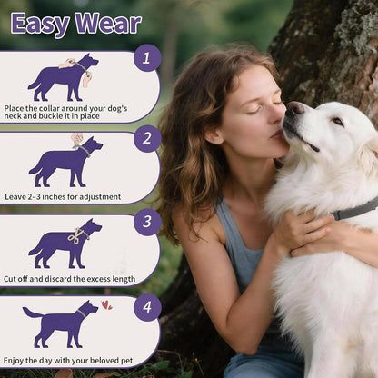 4 Pack Flea & Tick Collar for Dogs, Waterproof Adjustable Protection, Small, Medium & Large Dogs & Puppies