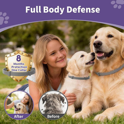 4 Pack Flea & Tick Collar for Dogs, Waterproof Adjustable Protection, Small, Medium & Large Dogs & Puppies