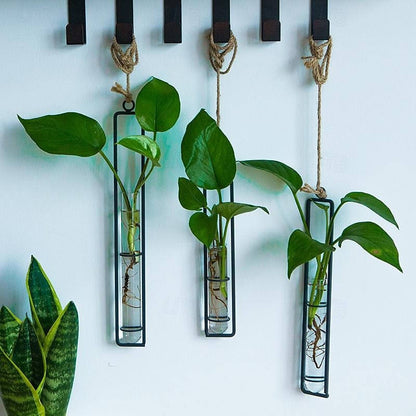 Wall Hanging Propagation Station, Glass Test Tube Planter with Metal Frame & Rope for Indoor Plant Cuttings