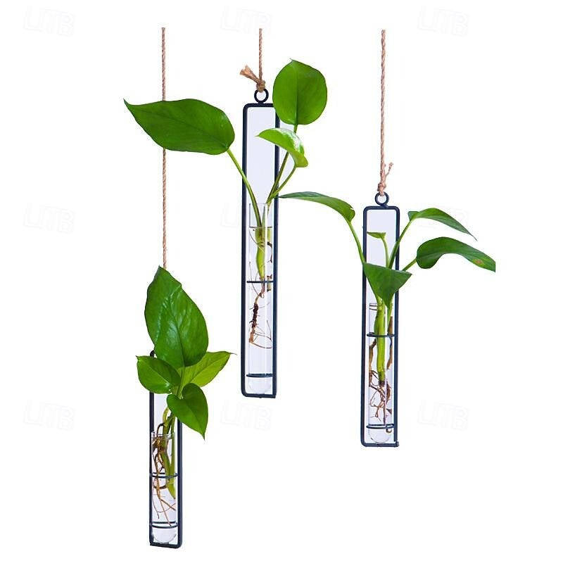 Wall Hanging Propagation Station, Glass Test Tube Planter with Metal Frame & Rope for Indoor Plant Cuttings