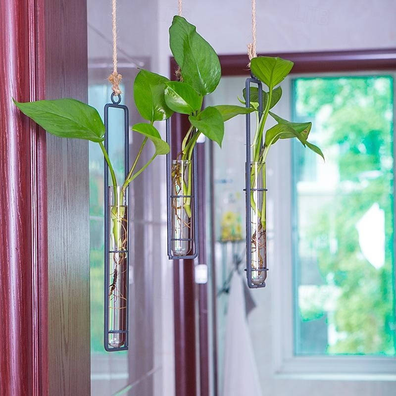 Wall Hanging Propagation Station, Glass Test Tube Planter with Metal Frame & Rope for Indoor Plant Cuttings