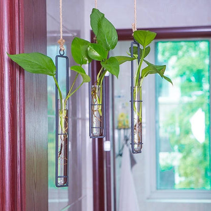 Wall Hanging Propagation Station, Glass Test Tube Planter with Metal Frame & Rope for Indoor Plant Cuttings