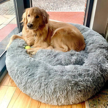 Calming Dog Bed