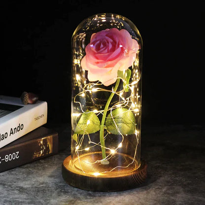 Preserved Rose with LED Dome Display and Battery Power