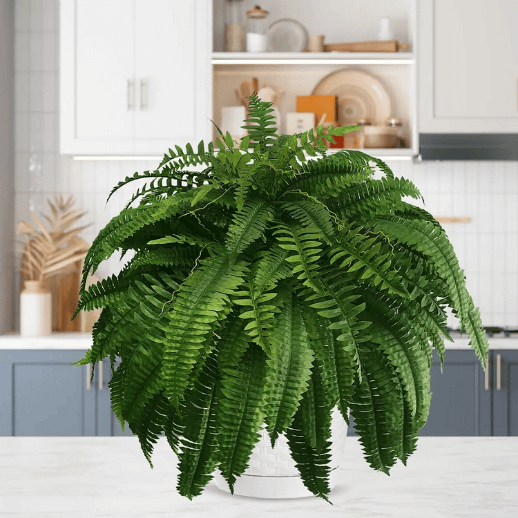 Artificial Boston Fern Set with UV Resistant Polyethylene and Realistic Fronds, 18 Pack