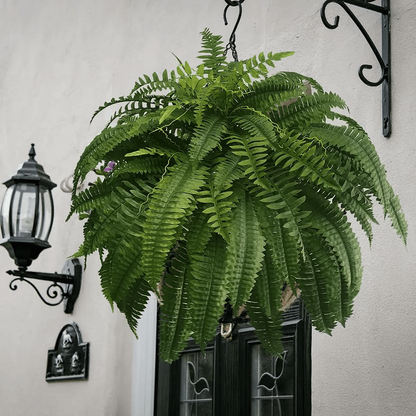 Artificial Boston Fern Set with UV Resistant Polyethylene and Realistic Fronds, 18 Pack