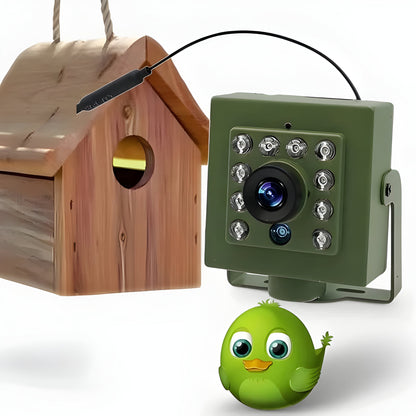 Wireless Bird Nest Camera for Remote Viewing and Monitoring