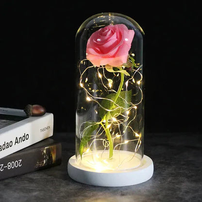 Preserved Rose with LED Dome Display and Battery Power