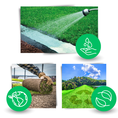Quick Fix Green Grass Seed Mat - Ozerty