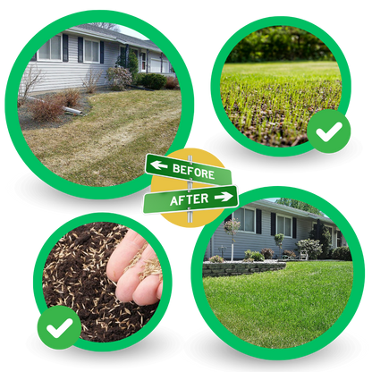 Quick Fix Green Grass Seed Mat - Ozerty