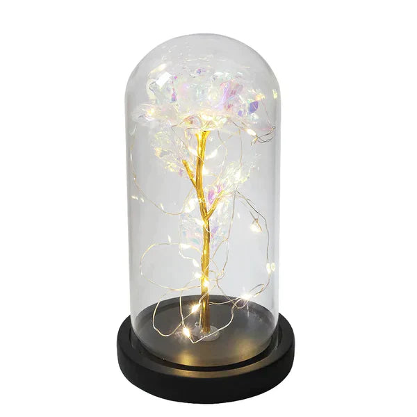 Preserved Rose with LED Dome Display and Battery Power