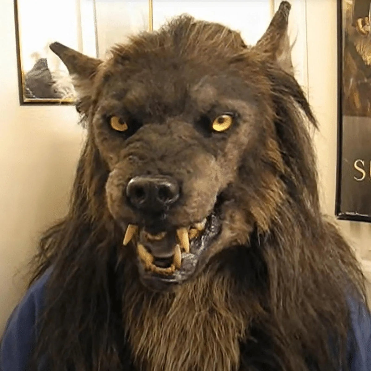 Full Head Latex Werewolf Mask with Painted Detail for Halloween and Cosplay