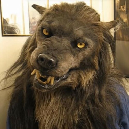 Full Head Latex Werewolf Mask with Painted Detail for Halloween and Cosplay
