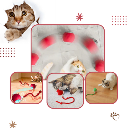 Smart Interactive Cats Ball Toy  - Ozerty