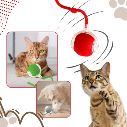 Smart Interactive Cats Ball Toy  - Ozerty