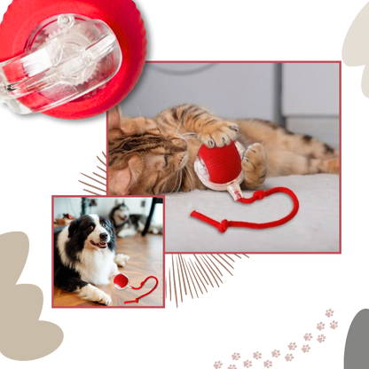 Smart Interactive Cats Ball Toy  - Ozerty
