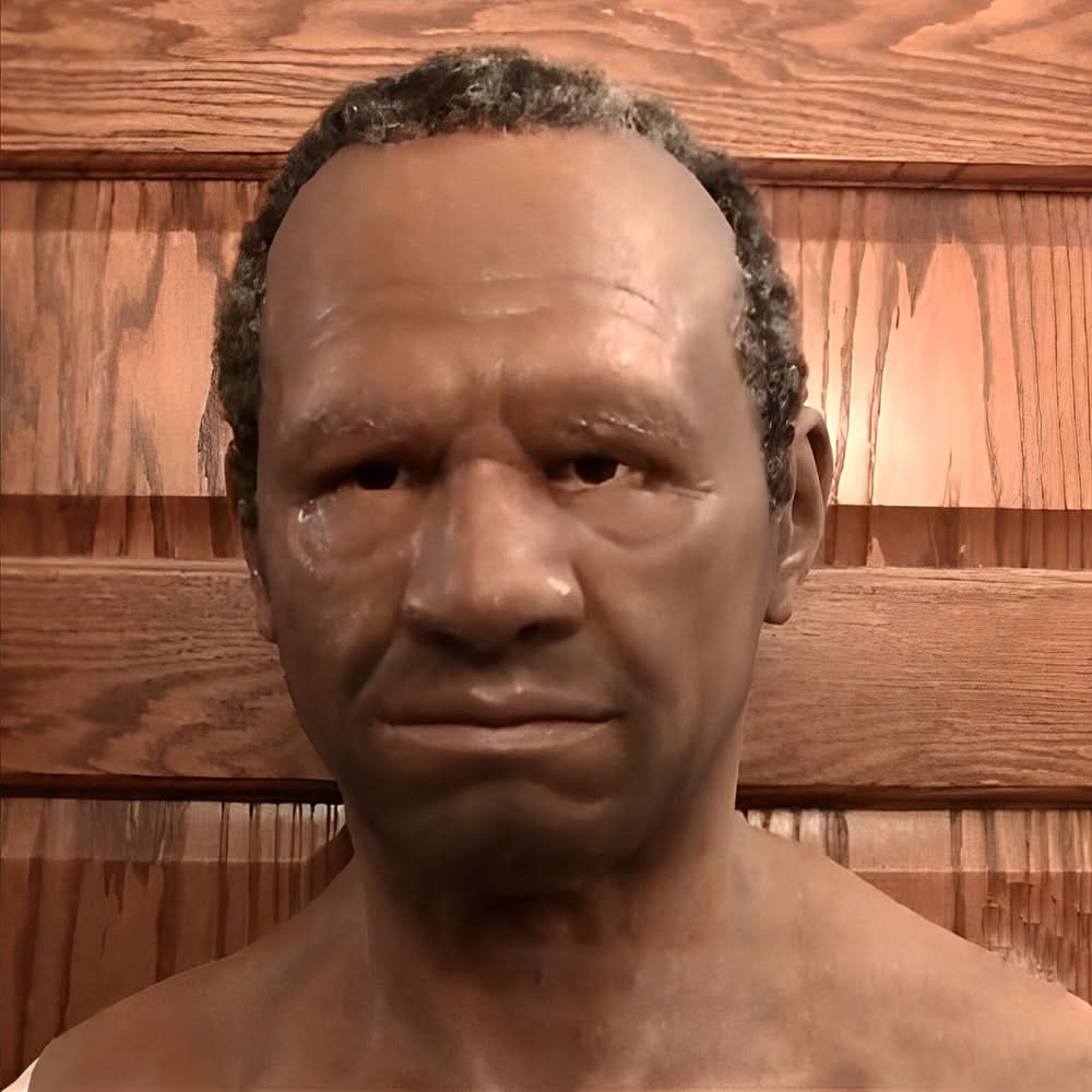 Wearclo | Halloween Latex Mask | Realistic and Elastic | Adult