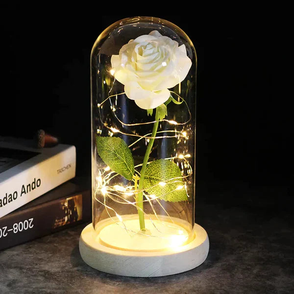 Preserved Rose with LED Dome Display and Battery Power