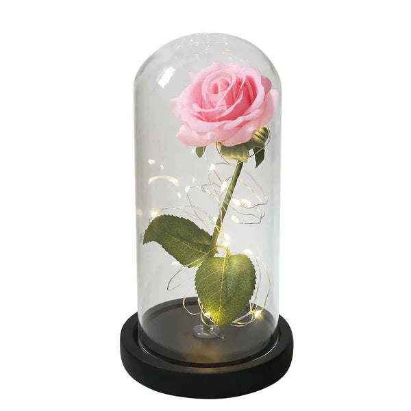 Preserved Rose with LED Dome Display and Battery Power